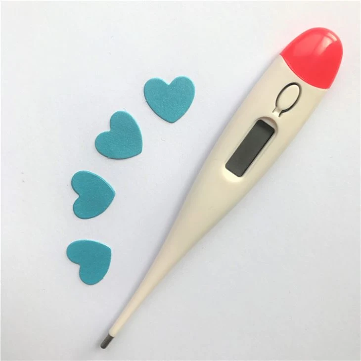 Large Size Thermometer