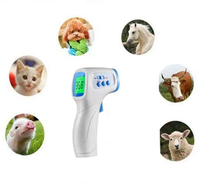 Κτηνιατρικό Κλινικό Θερμόμετρο
